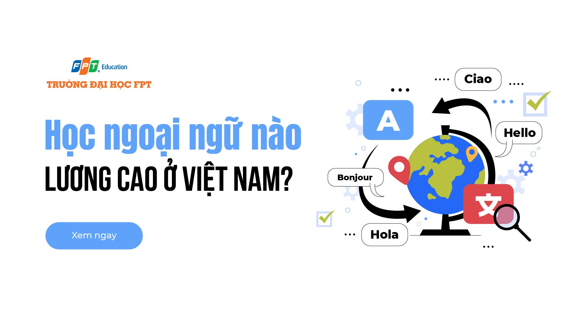 Học ngoại ngữ nào lương cao ở Việt Nam? [TOP 7]