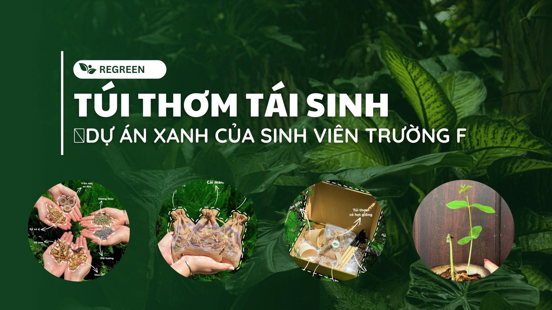 ReGreen - dự án xanh của sinh viên Trường ĐH FPT Cần Thơ