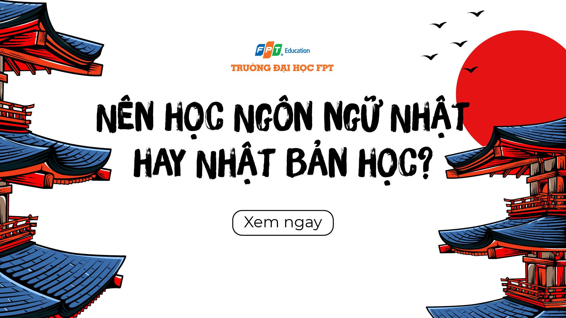 Nên học Ngôn Ngữ Nhật hay Nhật Bản học